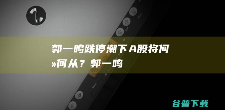 郭一鸣：跌停潮下A股将何去何从？_郭一鸣-